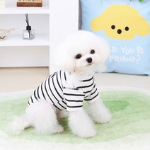 딩동펫 강아지 제임 베어 반팔티셔츠, 블랙
