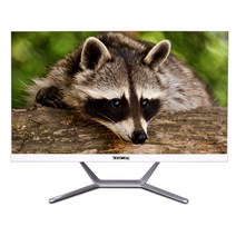 뷰라이프 올인원 터치 일체형PC AP-T238-T3-G5 (펜티엄골드-G5420 61cm), WIN미포함, RAM 16GB, SSD 128GB