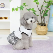 딩동펫 강아지 베이직 체크 프릴 원피스, 화이트