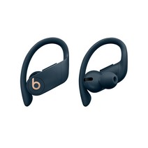 Apple Powerbeats Pro Totally Wireless 블루투스 이어폰, 네이비