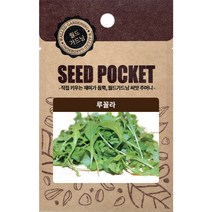월드가드닝 행복한 텃밭 좋은 씨앗 루꼴라씨 2000개, 1세트