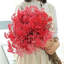 소니오 대용량 브레스 프리저브드플라워 꽃다발, 06 레드