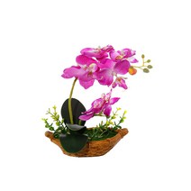 아리코 호접란 조화 A타입 화분, 1개, 핑크