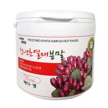 메디영 천년초 열매 분말, 1개, 200g