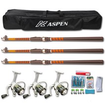 아스펜 카본 스콜피온 원투낚싯대 세트, 골드 + 블랙