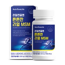 뉴트리원 관절 연골엔 튼튼한 리얼 MSM 180g, 180정, 1개