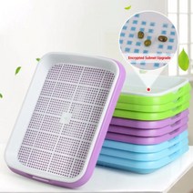 가정용 새싹 재배 모종 트레이 텃밭 가꾸기 씨앗 가드닝 용품 소품 주말농장 모종판, 그린