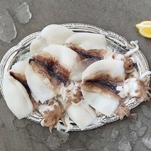 진성손질오징어 가격검색