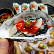통영 겨울맛 하프셀굴20미 2인 횟감용 아침조업발송