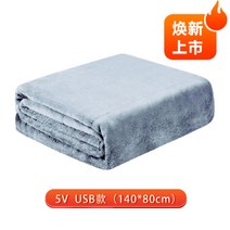 대형 무릎 온열 차박 캠핑 워밍업 USB 1인용 전기 담요 5V, 140x80cm, 라이트 그레이 USB 모델 [스팟]