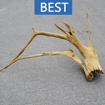 유목 대형 83cm 국산