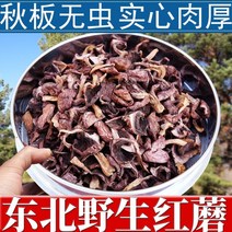 동북붉은버섯 건어물 산송이버섯 특산물 건표고육버섯 닭피버섯 붉은송이버섯, 250g