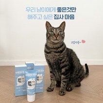바르는 덴탈 치약 닭고기맛 구취제거 고양이 치 약 석 제거 바르는치약 구내염 양치