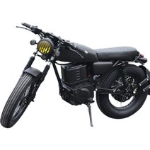 전동스쿠터 전기 오토바이 바이크 소형 이륜차 출퇴근스쿠터, 연료 버전 National IV EFI