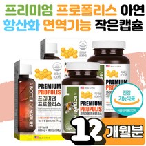 항산화 구강 항균 건강 증진 통증 에도움 미국산 프로 폴리스 아연 플라보노이드 플로 폴리 캡슐 활성산소 억제 면역기능 세포분열 어린이 청소년 부모님 어르신 선물 2박스