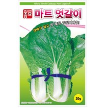 배추씨앗 - 종묘원