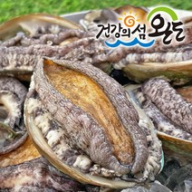 완도 활전복 1kg 18-20미 실속형부터 특대 7-8미 선물용 전복, 완도 활전복 14~15미 1kg