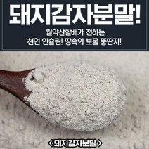 제천 월악산 돼지감자 분말 500g 뚱딴지