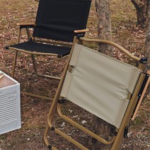 캠핑 우드 팔걸이 튼튼한 접이식 로우체어 바다 오토캠핑 성인, 트래블러 블랙