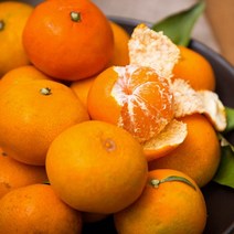 제주 하우스 감귤, 2.5kg(1개), 1개