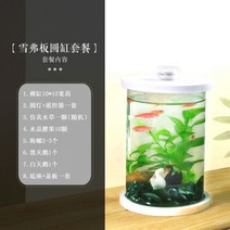 네온테트라 희귀열대어 새우키우기 어항꾸미기 루돌프구피 하프문베타 엔젤피쉬A09, 옵션5