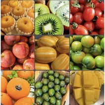 1인가구 혼합과일 과일정기배송 과일구독 소량과일 제철과일 자취생과일, 과일바구니 선물세트