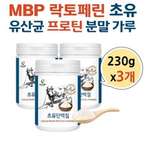 COLOSTRUMMILK 락토페린 유산균 엠비피 초유 성분 키즈 성인 파우더 가루 분말 저스트초유 MBP 40대 50대 POWDER 면역글로블린 초유단백질 소초유 어린이 성장기 청소년
