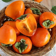 당도보장 전라도 대봉감5kg