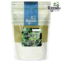 [웰리트(Welleat)] 국산 케일분말 300g