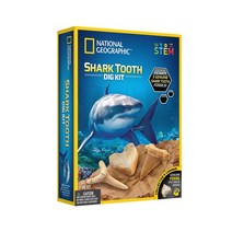 밤나무 내셔날지오그래픽 화석발굴 상어이빨(20264), 상세페이지 참조