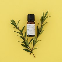 2차 재입고 데일리아로마 유기농 티트리 에센셜오일 10ml