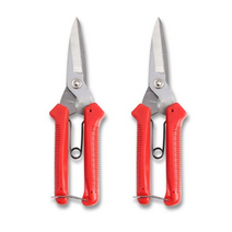 모리의집 전지가위 18cm, 16개