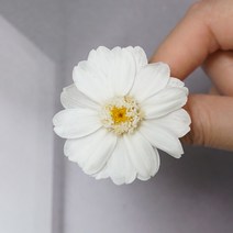 재료 꾸러미 백일 국화 장미 영생화배 꽃 스위트 농원 DIY 대지 소국 4695479449, 한 송이 쌀 화이트 03461 -01