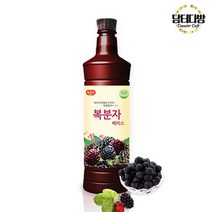 광야식품 복분자 베이스 970ml, 1, 상세페이지 참조, 본상품선택, 상세페이지 참조