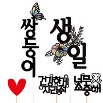 비비드레인 백일 첫돌 두돌 생일 케이크토퍼, 쌍둥이+생일