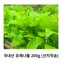 국내산 유채나물 200g 400g 500g 1kg 산지직송 유채 생유채 데친유채 건유채 생유채나물 데친유채나물 건유채나물 제철나물 제철채소 봄나물 채소반찬 나물반찬 싱싱한 신선한, 데친 유채나물