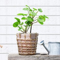 [모던하우스] 보호라이프 플라워 팟 H21cm 핑크