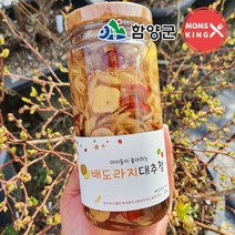 [함양군]딸기엄마양파아빠 배도라지대추청, 단품, 단품