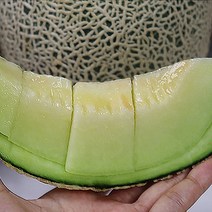 고당도메론선물세트 프리미엄산지직송머스크멜론, 머스크메론 4kg 2수