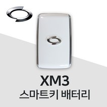 XM3 스마트키 건전지 차키 배터리 밧데리 약, 3개, 1개