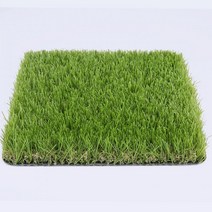 잔디 러그 이케아 장모 전현무 카페트 나혼자산다 타원형 인조