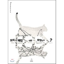 모의해킹이란 무엇인가:질문과 답변으로 쉽게 배우는 해킹 보안 실무, 위키북스