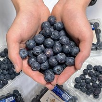 생블루베리, 수입산, 수입산 블루베리 1.5kg (125gx12팩)