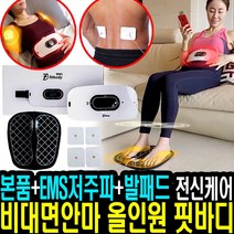 핏바디 전신 마사지기 뱃살 슬리미 벨트 올인원 EMS 저주파 패드 마사지 다리 어깨 발 안마기, 핏바디+패드4개+발패드