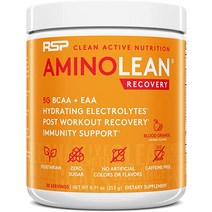 RSP AminoLean Recovery - 운동 후 BCAA 아미노산 보충제 전해질 수분 공급 촉진을 위한 및 EAA 면역 지원 근육 회복 음료 비건 아미노 블러드 오렌지, [04] 240개(1팩), [03] 캡슐