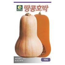 만복 단호박 씨앗 20립 - 호박 호박씨 호박씨앗 씨 채소씨앗 야채씨앗 재배 주말 농장 텃밭, 05_다농_땅콩호박(10립)