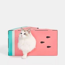 고양이 수박 박스 숨숨집 스크래쳐모몽134697, 모몽수박박스스크래쳐