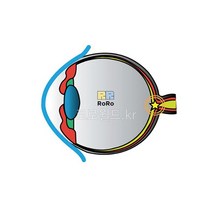 맹점찾기/과학 실험 키트 교구 도구 만들기