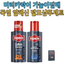 [알페신 독일 탈모샴푸]알페신 카페인 샴푸 C1 250ml + 알페신 액티브 샴푸 A2 250ml (가늘어진 머리 기름진 두피), 2개 (250ml +250ml)