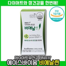 비에날씬 비엔날씬 유산균 BNR 비에날 비엔알 비엔날 비엔나 비에나 씬 17 김희선 다이어트 홈쇼핑 모유 체지방 살빼는 살빠지는 비만 뚱보균 유산균 가루 분말 락토바실러스 가세리, 1통, 60캡슐